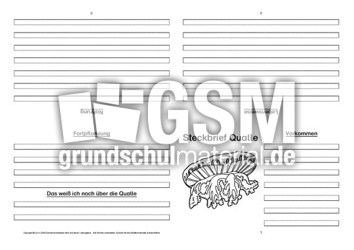 Qualle-Faltbuch-vierseitig-3.pdf